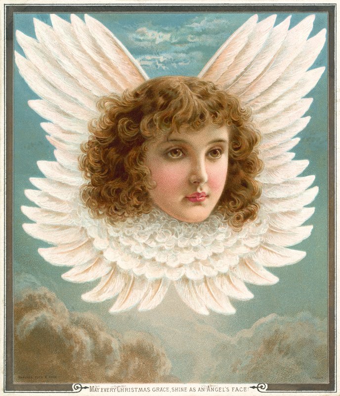 رأس الملاك في الأجنحة (chromolitho) بواسطة ريبيكا كولمان