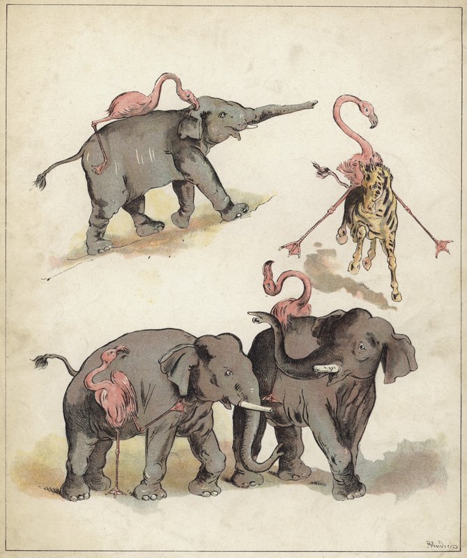 الفيلة وطيور النحام (chromolitho) بواسطة ريتشارد أندريه