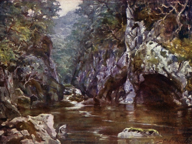 Fairy Glen ، Bettws-y-Coed (لون ليثو) بواسطة روبرت (بعد) فاولر