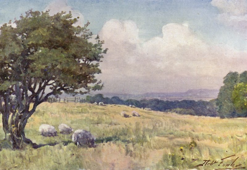 Sunny Field ، بالقرب من Llanberis (لون ليثو) بواسطة روبرت (بعد) فاولر