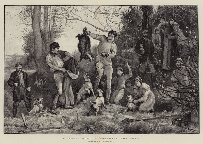 A Badger Hunt في سومرست ، القرعة بواسطة روبرت ووكر ماكبث