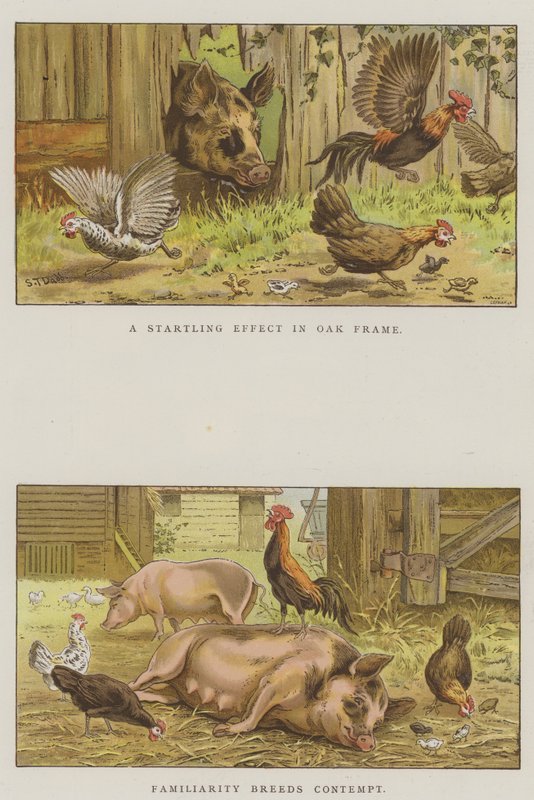 مشاهد المزرعة (chromolitho) بواسطة سانت داد