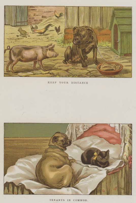 الكلاب المرحة (chromolitho) بواسطة سانت داد