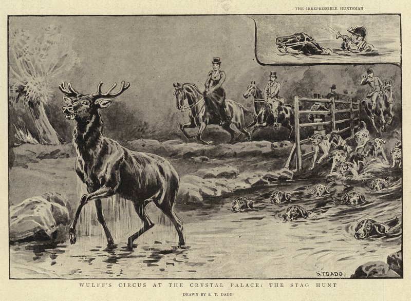 سيرك وولف في كريستال بالاس ، Stag Hunt بواسطة سانت داد