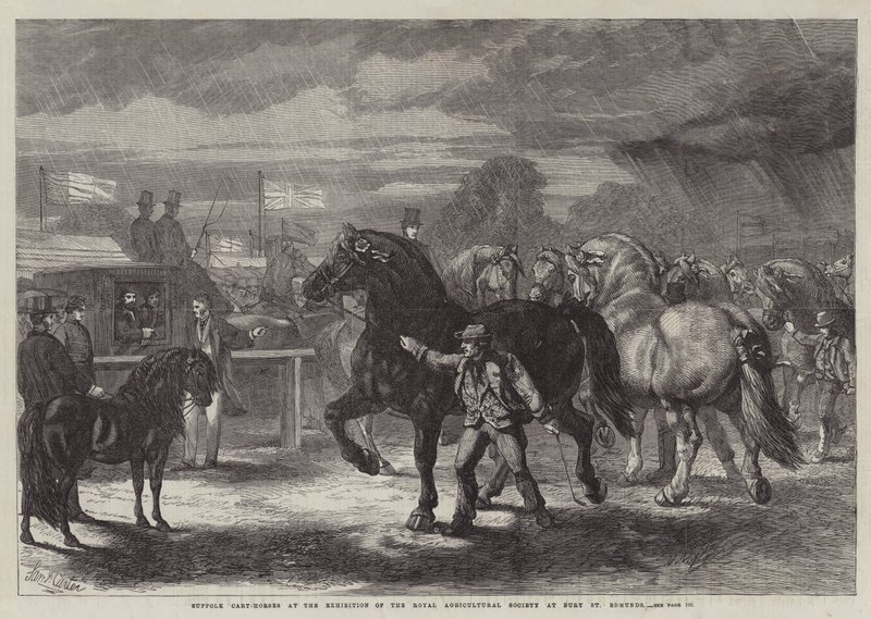 Suffolk Cart-Horses في معرض الجمعية الزراعية الملكية في بيري سانت إدموندز بواسطة صموئيل جون كارتر