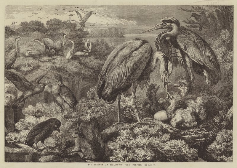 The Heronry at Didlington Park ، نورفولك بواسطة صموئيل جون كارتر