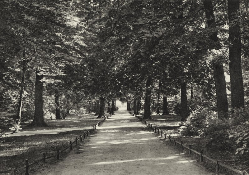 برلين: Tiergarten (صورة b / w) بواسطة ساشا ستون