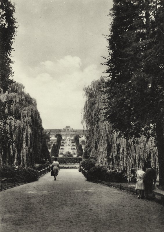 بوتسدام ، شرفات سانسوسي ؛ شرفات سانسوسي (صورة b / w) بواسطة ساشا ستون
