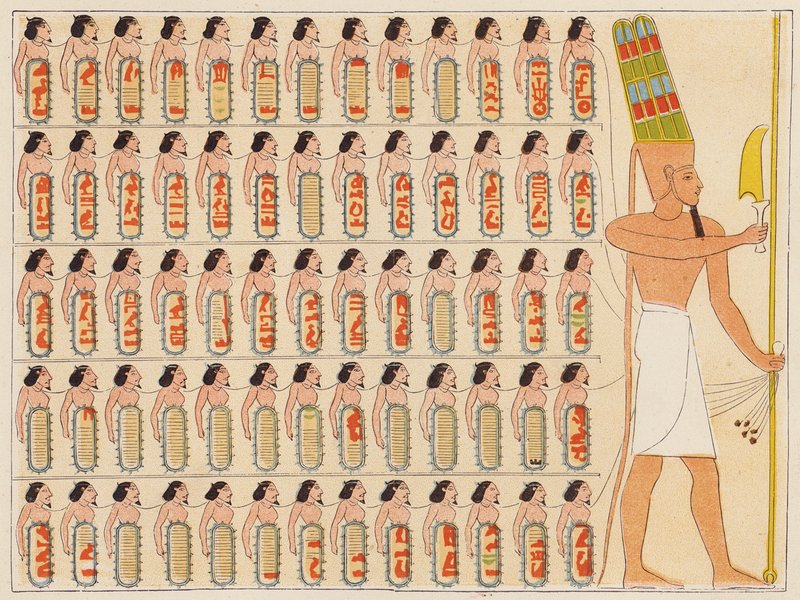  بواسطة المدرسة المصرية