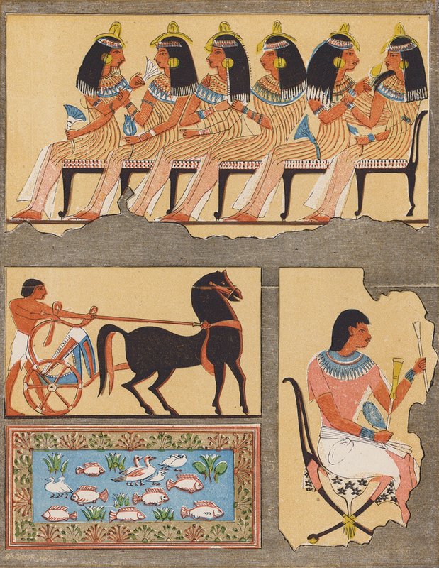  بواسطة المدرسة المصرية