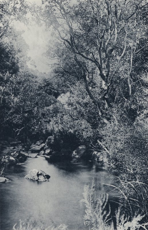 مشهد خرافي ، بالقرب من Witpoortje (صورة b / w) بواسطة مصور جنوب أفريقي