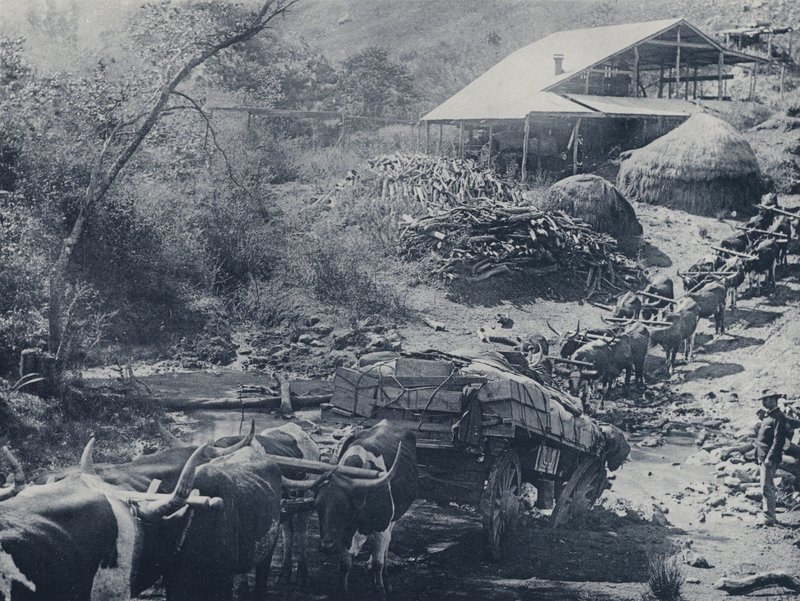 A Wagon Break-down ، Scotsman Reef ، Baberton (صورة b / w) بواسطة مصور جنوب أفريقي