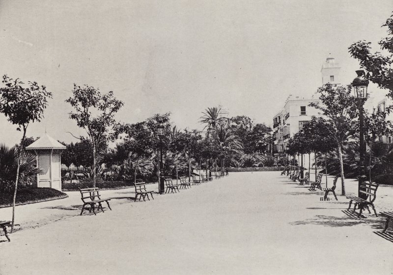 Cadiz: Alameda de Apodaca (b/w photo) بواسطة المصور الإسباني