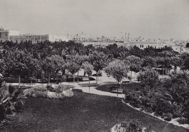 Cadiz: Parque Genoves (صورة b / w) بواسطة المصور الإسباني