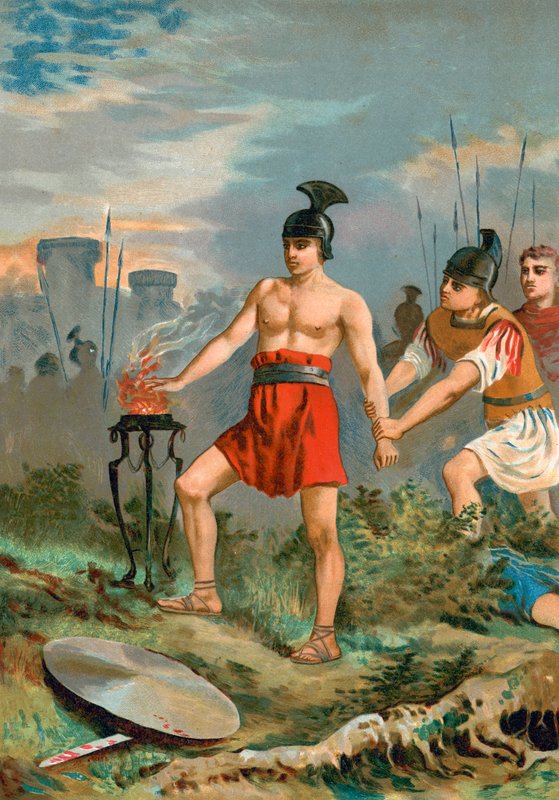 Scaevola بواسطة المدرسة الاسبانية