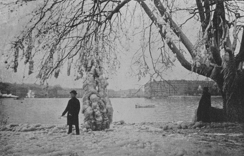 Aux Eaux-Vives in Geneve ، شتاء 1896 (b / w photo) بواسطة المصور السويسري