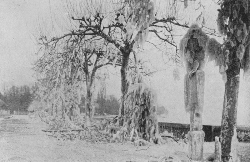 Aux Paquis في جنيف ، شتاء 1896 (b / w photo) بواسطة المصور السويسري