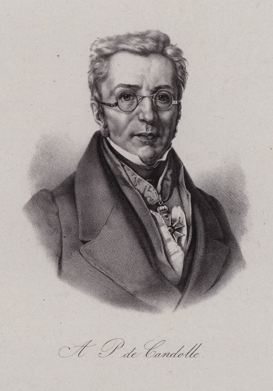 Augustin Pyramus de Candolle, Swiss botanist (engraving) بواسطة المدرسة السويسرية