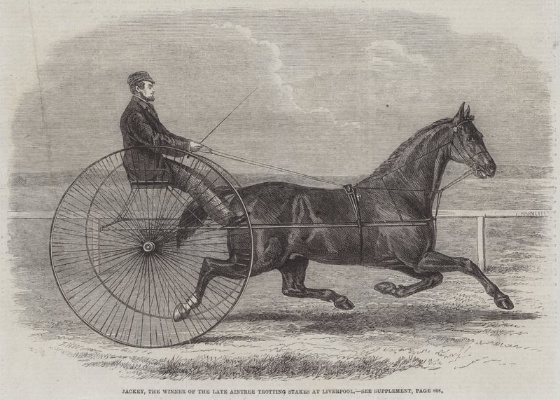 جاكي ، الفائز في الراحل Aintree Trotting Stakes في ليفربول بواسطة توماس هارينجتون ويلسون