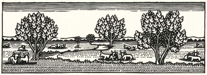 Illustration for Tess Of The DUrbervilles by Thomas Hardy (engraving) بواسطة فيفيان جريببل