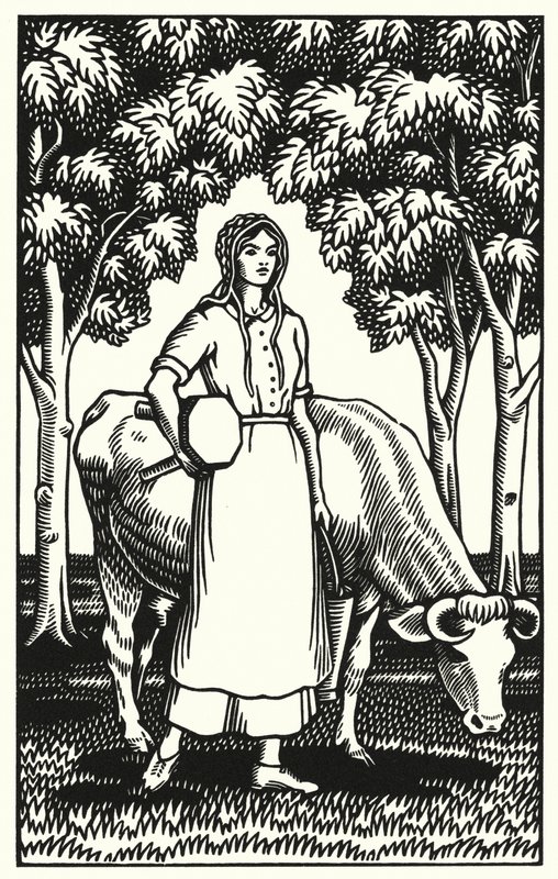 Illustration for Tess Of The DUrbervilles by Thomas Hardy (engraving) بواسطة فيفيان جريببل