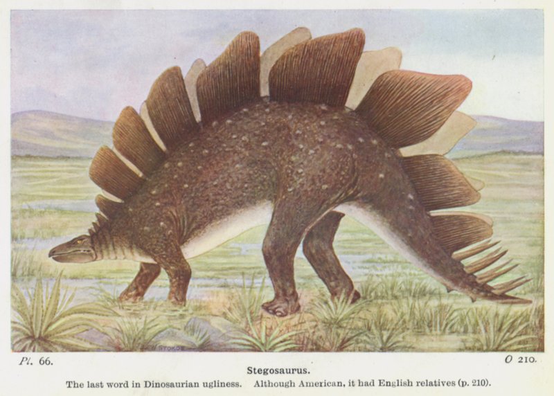 Stegosaurus (لون ليثو) بواسطة دبليو جي ستوكو