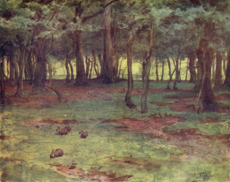 الغابة الجديدة: The Woods in Setley Plain (لون ليثو) بواسطة والتر فريدريك روف تندل