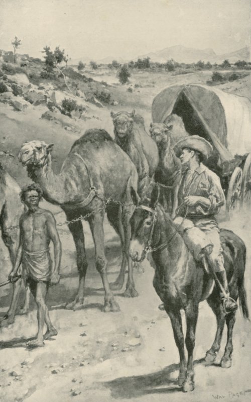 A Camel-Caravan ، أستراليا الغربية بواسطة والتر ستانلي باجيت