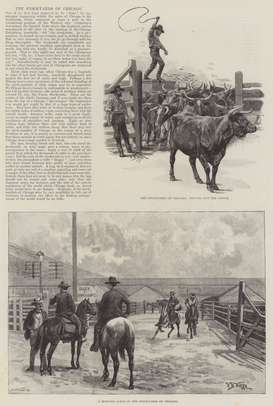 The Stockyards of Chicago بواسطة صوف ويليام بارنز