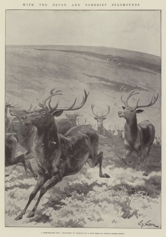 مع Devon و Somerset Staghounds بواسطة صوف ويليام بارنز