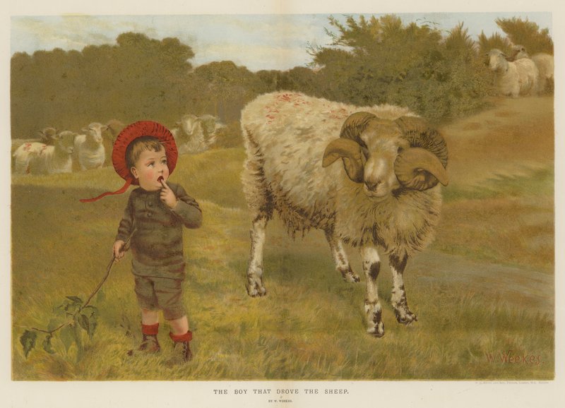 الصبي الذي قاد الخراف (chromolitho) بواسطة وليام ويكس