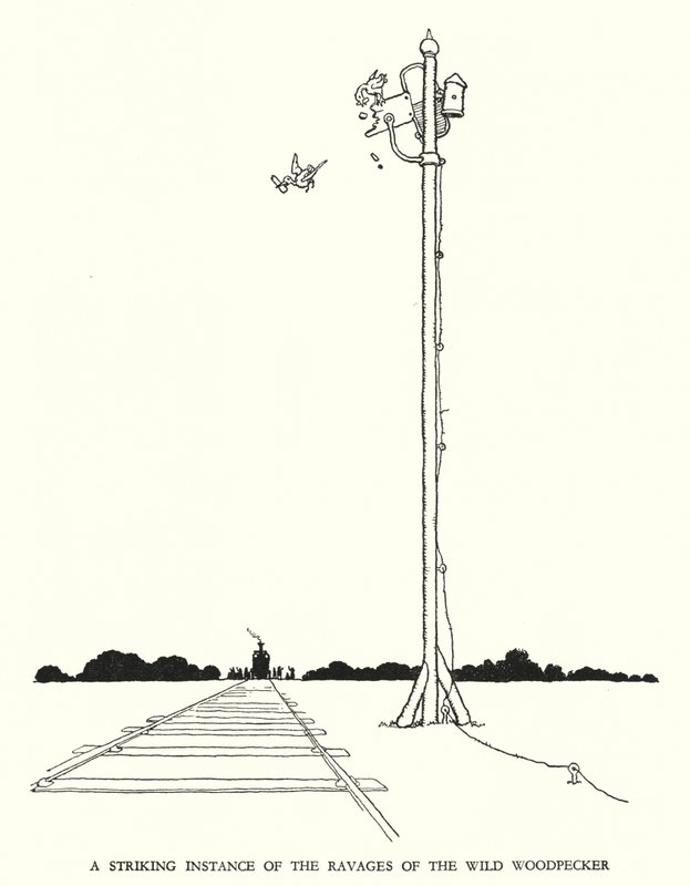 رسم توضيحي للسكك الحديدية Ribaldry بواسطة W Heath Robinson (litho) بواسطة وليام هيث روبنسون