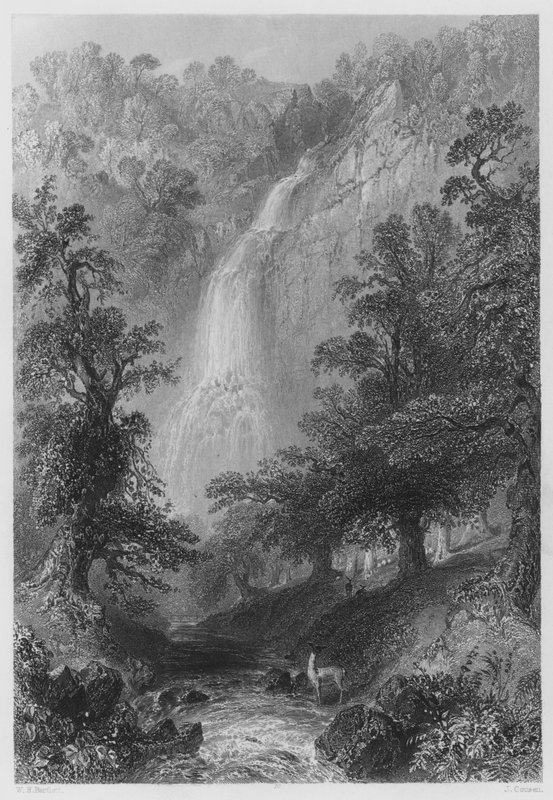 Powerscourt Fall (نقش) بواسطة وليام هنري (بعد) بارتليت