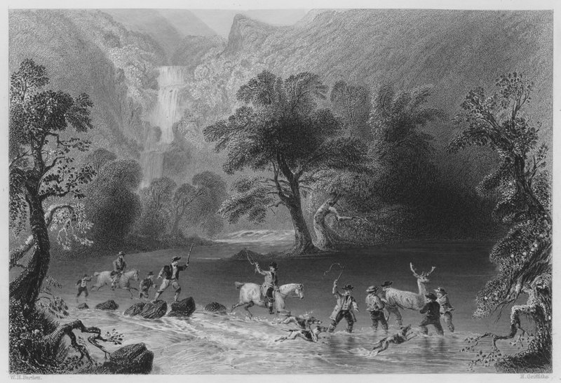 أخذ الأيل ، بالقرب من Derrycunnihy Cascade ، كيلارني (نقش) بواسطة وليام هنري (بعد) بارتليت