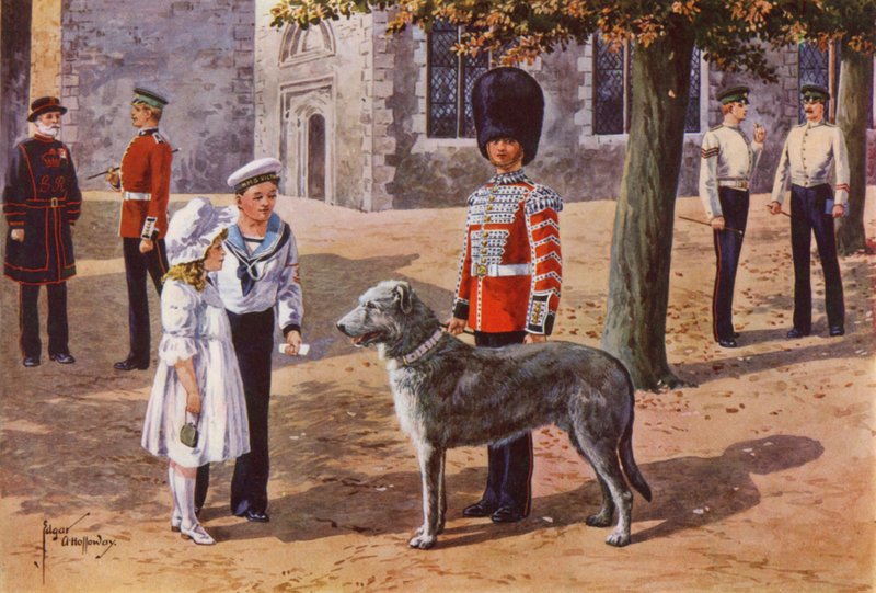 الحيوانات الأليفة Wolfhound من الحرس الأيرلندي في برج لندن بواسطة بعد إدغار ألفريد هولواي