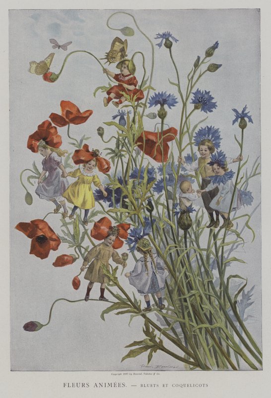 فلور أنيمي. Bluets et Coquelicots. (زهور متحركة: زهور الذرة والخشخاش) بواسطة بعد فيرمين بويسيت