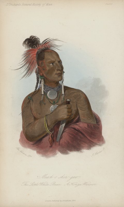 Meach-o shin-gaw، The Little White Bear، A Konza Warrior (aquatint) بواسطة بعد جورج كاتلين