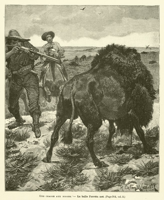 A Bison Hunt بواسطة بعد ريتشارد كاتون الثاني وودفيل
