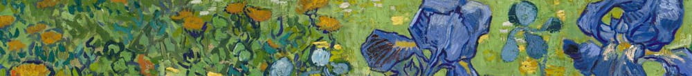 القزحيات (Vincent van Gogh)