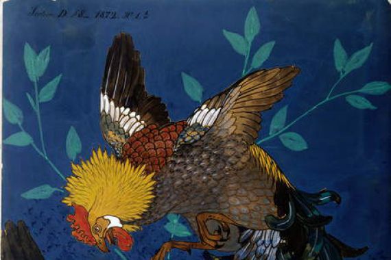 Alexandre-Paul Avisse