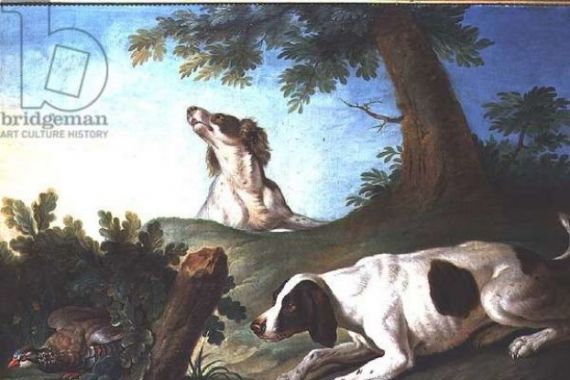 Johann-Michael Baader